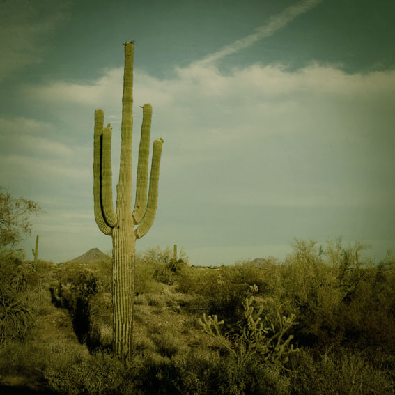 80x80cm Fine Art Photographic Print