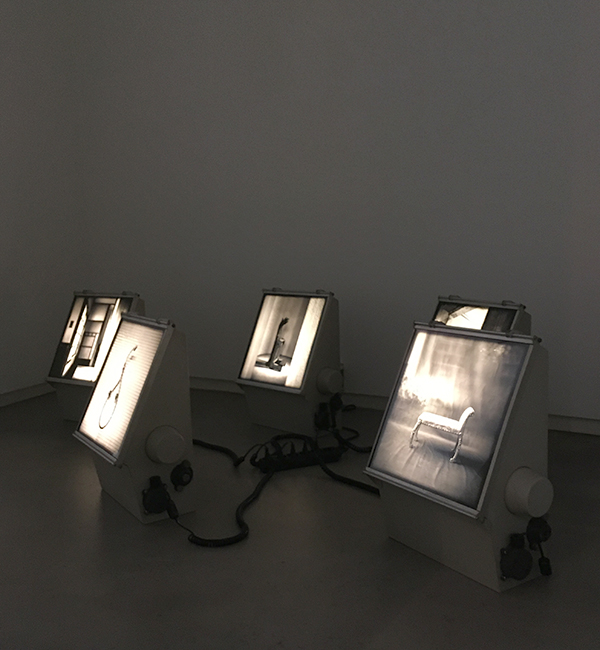 Galeria das Salgadeiras. 2019